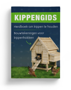 cover van de kippengids voor beginners met een zelfgebouwd kippenhok op de voorkant