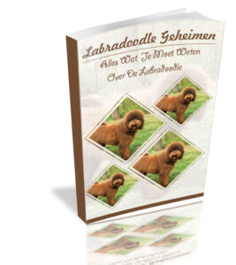 cover van het boek labradoodle geheimen. het handboek voor mensen met een leifde voor honden