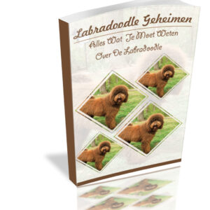cover van het boek labradoodle geheimen. het handboek voor mensen met een leifde voor honden