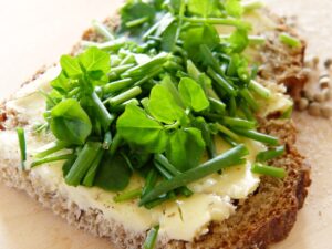 Keto dieet schema