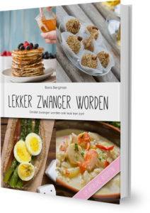 Lekker zwanger worden e-book cover